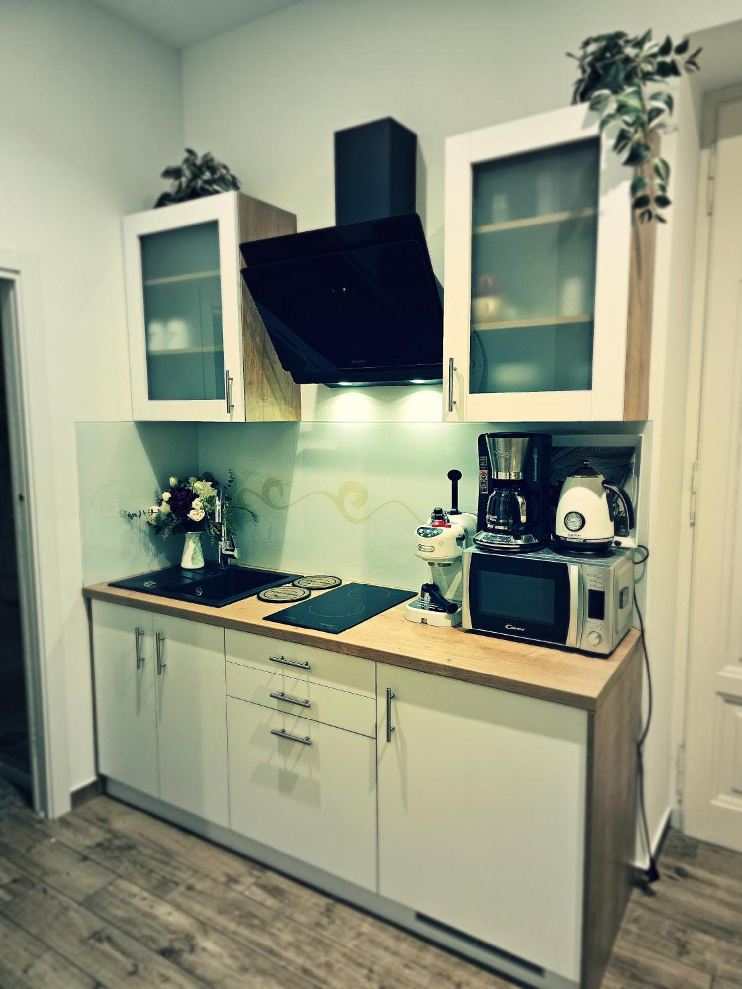 Studio Apartman Villa Gianna Lovran Bagian luar foto