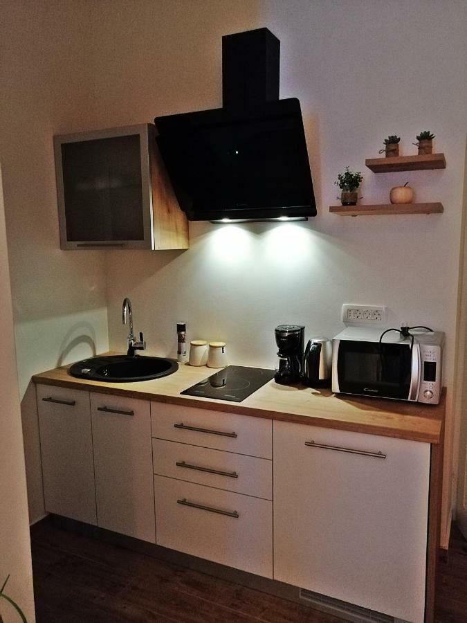 Studio Apartman Villa Gianna Lovran Bagian luar foto